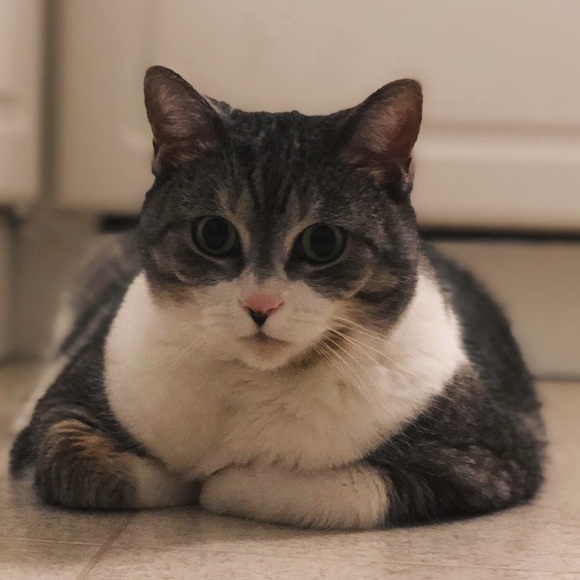 Meet your Posher, Jenna - Picture 1 of 1